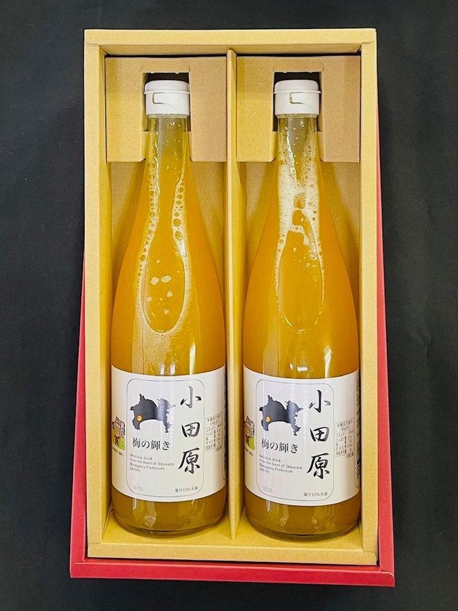 小田原 梅の輝き720ML瓶（梅ドリンク）2本セット【 飲み物 ドリンク 神奈川県 小田原市 】 142069_HR001