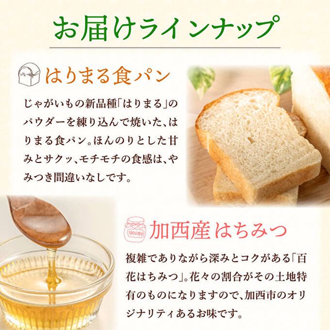 笑顔あふれる『播磨特選モーニングセット』 パン 食パン 卵 野菜 詰合せ 