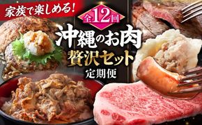 【全12回定期便】家族で満喫！沖縄のお肉贅沢セット【沖縄市】ハンバーグ あぐー 石垣牛 ステーキ 焼肉 冷凍 ギフト お取り寄せ 沖縄市 / お肉屋本店 / 豚々茶舗 / TESIO / 肉のサブロー[BCZZ035]