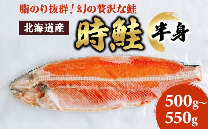 北海道産 時鮭 半身 500g～550g 鮭 さけ シャケ 魚 甘塩 冷凍 半身加工 旬 