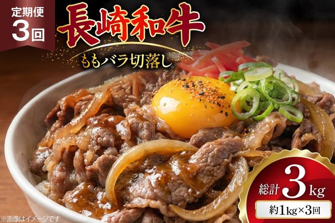 AJ577 【3回定期便】長崎和牛 切り落とし (もも・バラ) 約1kg (500g×2P) [ 肉 牛肉 和牛 高級 おいしい ステーキ肉 まるしん商会 黒牛 長崎県 島原市 ]