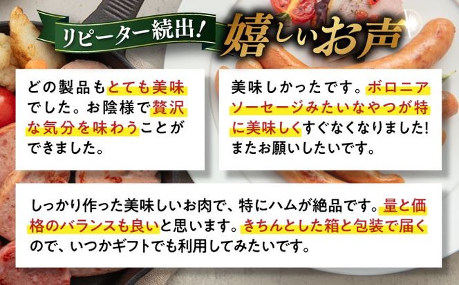 【全12回定期便】本場ドイツで連続金賞受賞！ お試し 食べきり セット《糸島》【糸島手造りハム】 [AAC021]