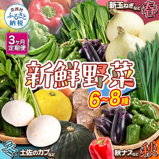 朝どれ！野菜の詰合せ 3ヶ月定期便 芸西村で採れた新鮮な野菜6～8種類をお届けします。 野菜 野菜詰め合わせ 野菜セット 詰め合わせ ナス ピーマン 