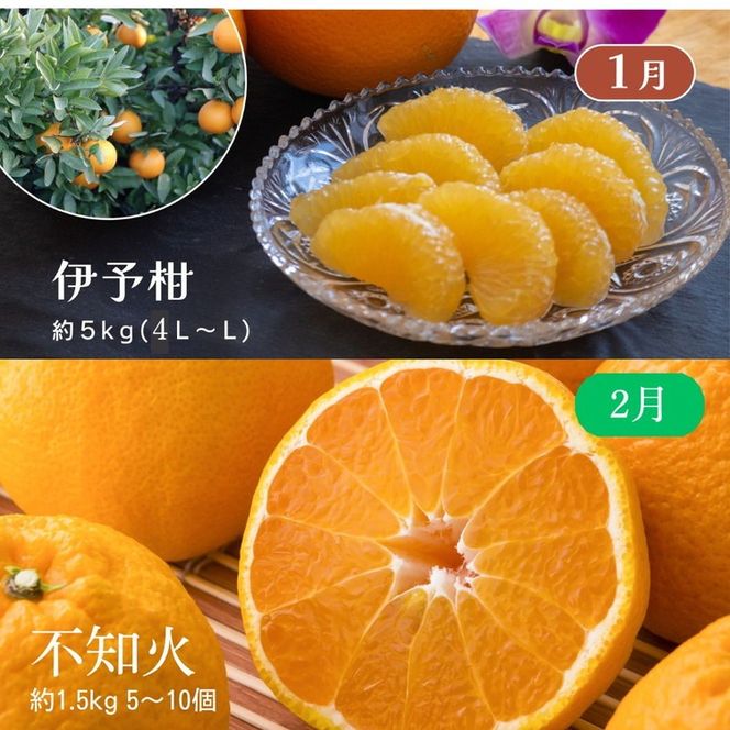【定期便】えひめかんきつ定期便 全6回 ＜みかん 柑橘 フルーツ 定期便 国産 愛媛県 ＞ ※2026年11月～発送