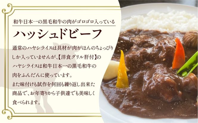 ＜容量と回数が選べる＞【洋食グリル肝付】定期便 ハッシュドビーフ　K084-T00_SKU