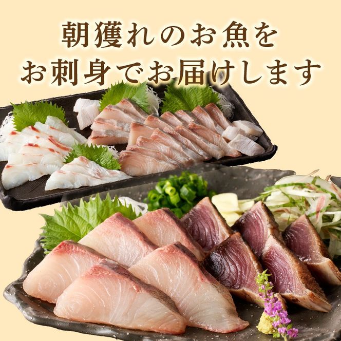 【単月お届け】大和海商　大和の高級お刺身　6人前　冷蔵　N072-YA4412_1