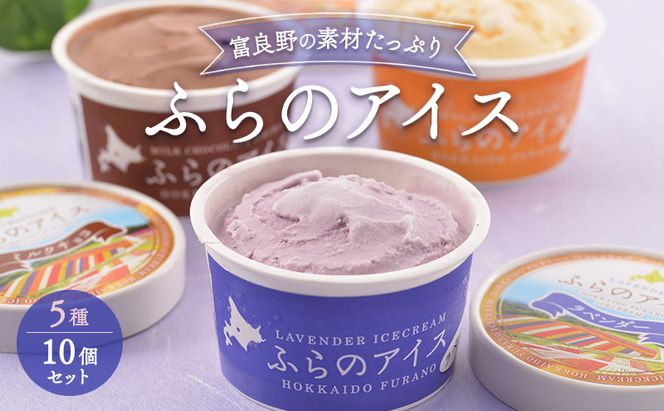 北海道富良野市 ふらの アイスクリーム 10個 5種×2個 (ディームファクトリー) アイス デザート 北海道 富良野市 道産 直送 ふらの 贈り物 ギフト