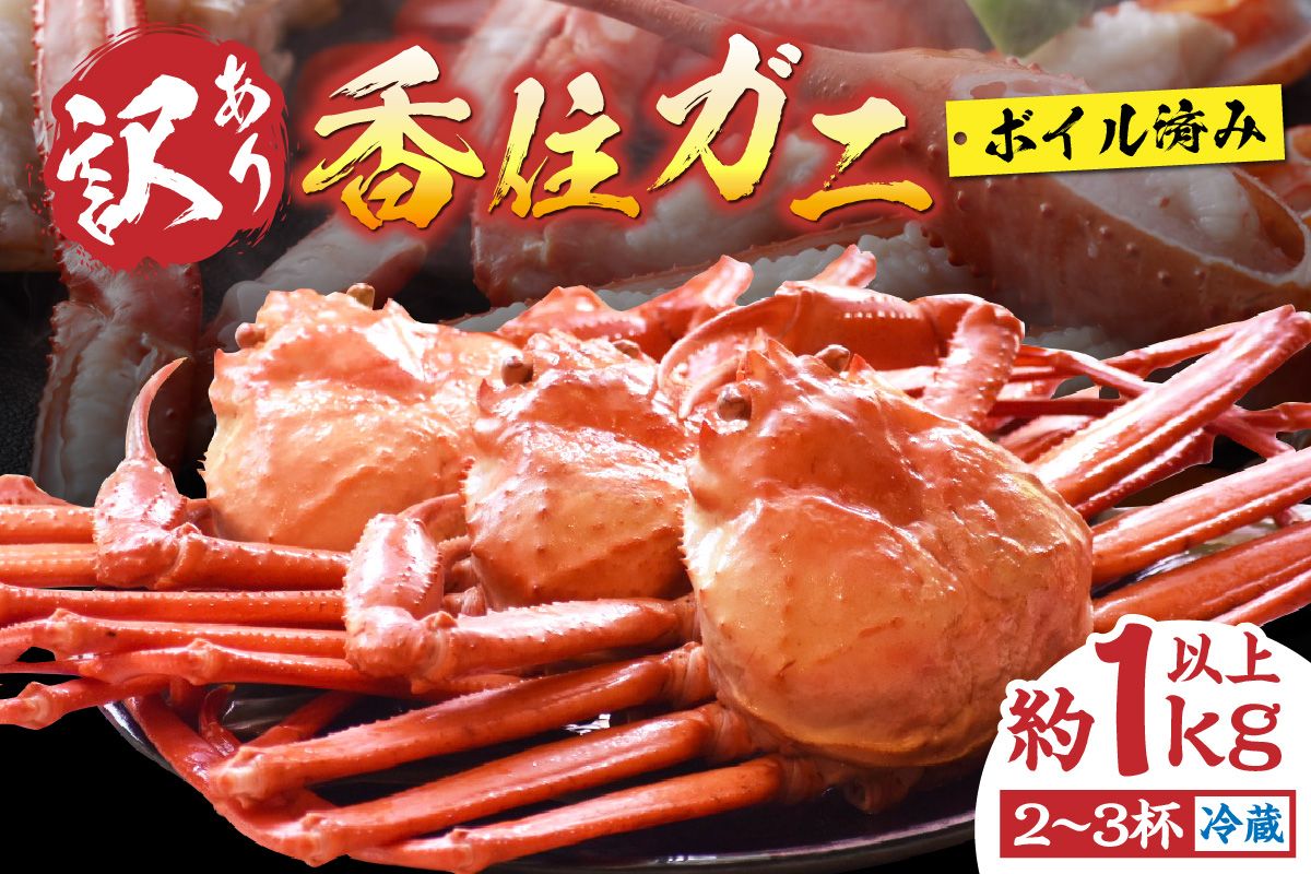 [先行予約][訳あり 香住ガニ 浜茹で 2〜3杯 約1kg以上 1〜2本指落ち 冷蔵]令和7年9月中旬以降、カニの水揚げ次第順次発送予定 ふるさと納税 おすすめ 兵庫県 香美町 香住 丸近 19-09