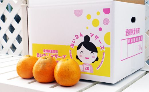 訳あり 紅 河内晩柑 （ S - L サイズ 混合 ） 10kg 7000円 みかん かわちばんかん 愛南ゴールド あいなん ゴールド 美生柑 文旦 グレープフルーツ 和製 幻 の 紅河内晩柑 紅晩柑 希少 家庭用 産地直送 国産 農家直送 糖度 果樹園 期間限定 数量限定 特産品 ゼリー ジュース 人気 限定 さわやか 甘い フルーツ 果物 柑橘 蜜柑 規格外 愛媛県 愛南町 あいなんマザーズ