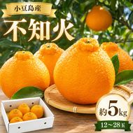 【 小豆島 】小豆島　不知火　約5kg 果物類 みかん 柑橘類 フルーツ 