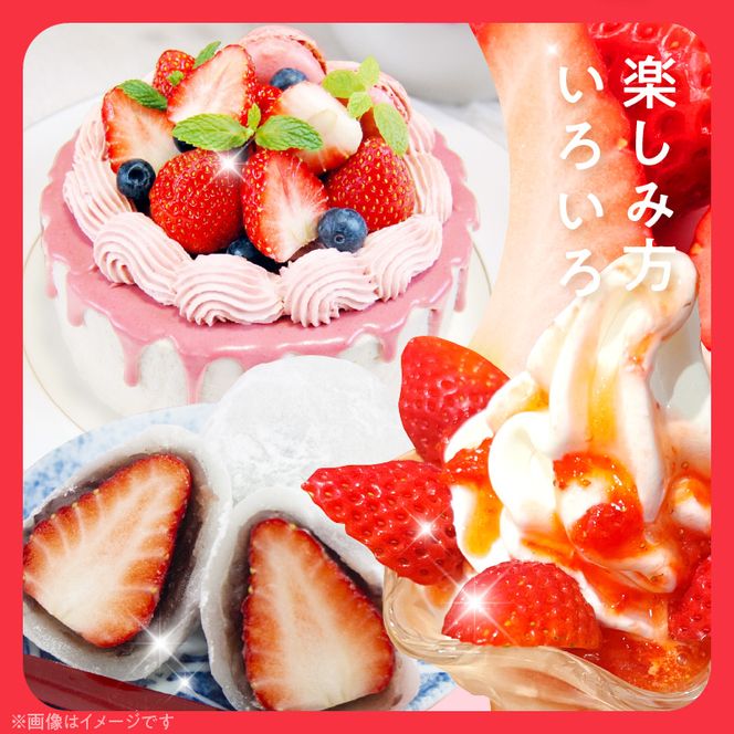 朝摘み 完熟 まりひめ いちご 約300g×4パック (合計約1,200g)_AB7335