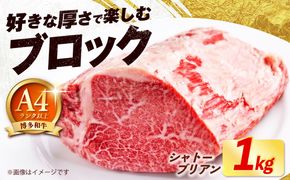 【希少部位！】博多和牛 シャトーブリアン ブロック 1kg 《築上町》【肉のくまもと屋】[ABEZ007]