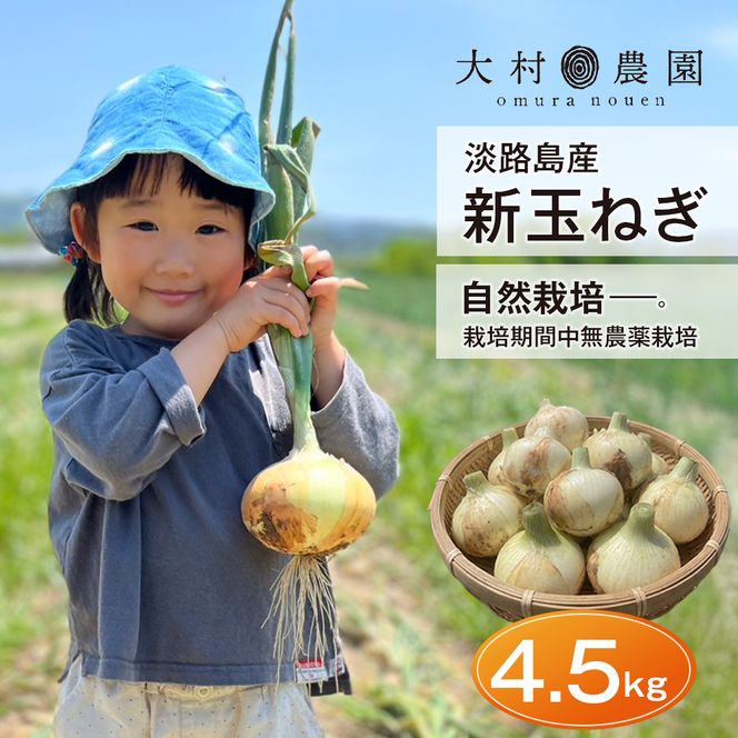 新玉ねぎ 自然栽培 4.5kg 玉ねぎ