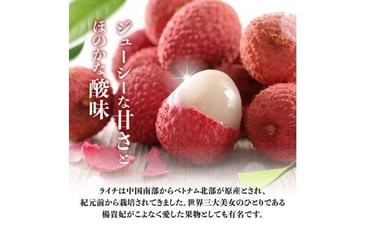 ※サイズが選べる※【令和8年産】川南町産ライチ 10粒(5粒×2パック) 【 国産ライチ フルーツ デザート 宮崎県産 】 [B03201 B03202 B03203]