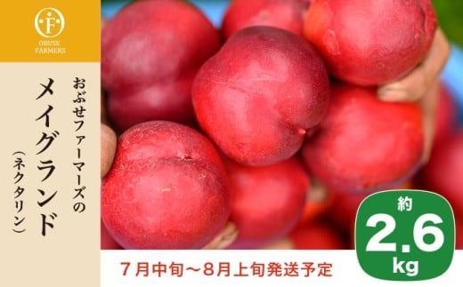 メイグランド 約2.6kg ［おぶせファーマーズ］ 果物 フルーツ ネクタリン 長野県産 信州産 令和7年産 【2025年7月中旬～8月上旬発送】［F-13］