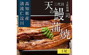 【CF-R7hbk】TRT001　“土佐料理司”三代目天の鰻蒲焼1尾セット／「仁淀川」水系の地下水使用 完全無投薬養殖 国産・高知県産〈高知市共通返礼品〉うなぎ 真空パック （ウナギ・たれセット）
