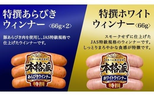 【 熨斗 対応品 】 日本ハム 筑西工場 本格派 ギフトセットB 肉 にく 贈答 ギフト 詰め合わせ ハム ソーセージ ウィンナー 生ハム 焼豚 お中元 お歳暮 [AA081ci]
