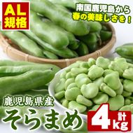 ＜先行予約受付中！2026年4月中旬以降順次発送予定＞春の味覚の鹿児島県産そらまめ(4kg) 大容量 国産 野菜 そら豆 ソラマメ セット 詰合せ 詰め合わせ 旬 ベジタブル 期間限定 AL規格 国産 鹿児島県産 阿久根市産 冷蔵【鹿児島いずみ農業協同組合】akn018-11