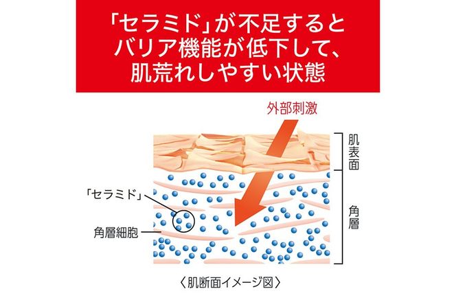 125-2703　花王　キュレル　エイジングケア　ジェルクリームセット【 化粧品 コスメ 神奈川県 小田原市 】