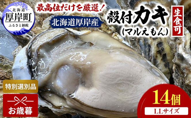 【お歳暮】北海道 厚岸産 ブランド牡蠣 マルえもん 殻付き 牡蠣 LLサイズ 14個 【光輝】 [ 魚貝類 生牡蠣 海鮮 海の幸 生食用牡蠣 生食用 生食用殻付き牡蠣 濃厚 甘み  オイスター ]  