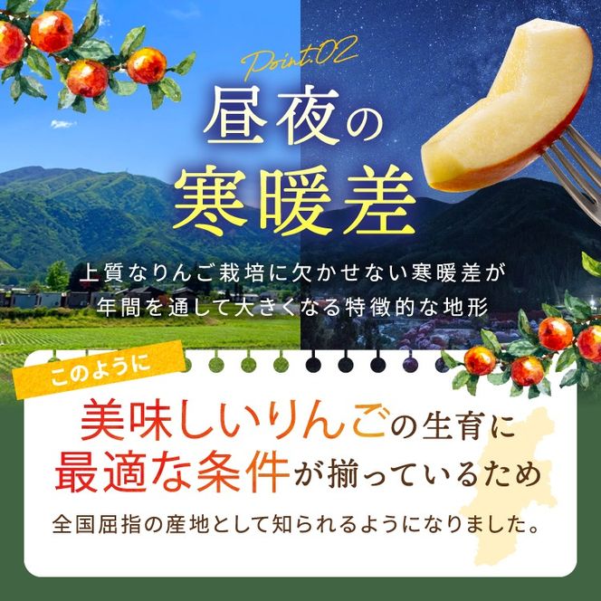 訳あり りんご 令和8年11月中旬発送 傷等訳あり・ご家庭用 甘い! 希少! 幻のりんご あいかの香り 約5キロ（りんご・リンゴ・林檎）伊那市 長野県 信州【016-33】