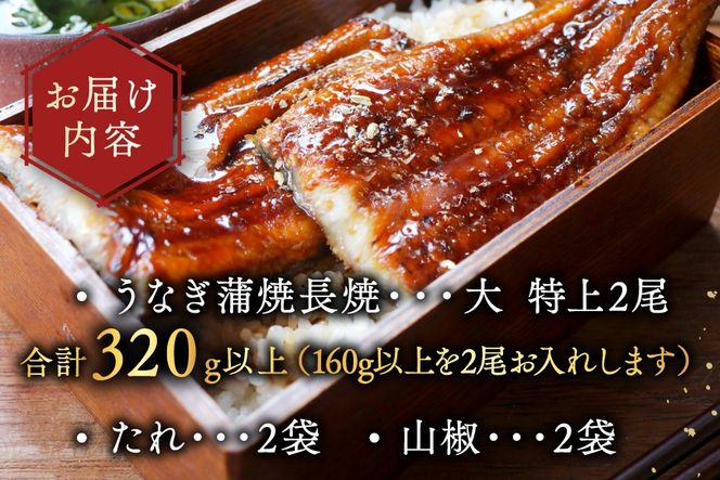 （6月発送）国産　大　特上うなぎ 2尾 合計 320g 以上【OT000O160】