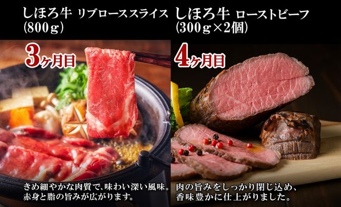 【CF】■定期便■ 北海道 しほろ牛 冬の定期便 全5回 牛肉 サーロイン ステーキ リブロース 切り落とし ローストビーフ 肉 牛 赤身肉 国産牛 肉 ビーフ 牛肉 冷凍 お惣菜 焼肉 頒布会 送料無料 十勝 士幌町【X22】