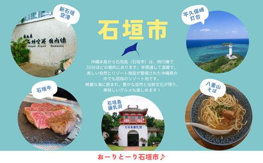 石垣市に泊まるふるさと納税旅行クーポン【3,000円分】｜沖縄県 石垣市 石垣島 八重山 旅行 クーポン 旅行クーポン 電子クーポン 日本空輸 NK-1