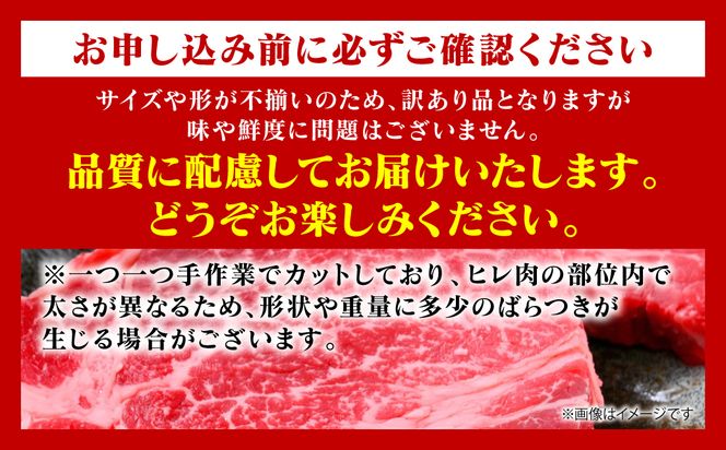 【訳あり】 【A4～A5ランク】 くまもと黒毛和牛 ヒレ ステーキ 100g （100g×1枚） フィレ ヒレステーキ フィレステーキ 和牛ステーキ 牛肉 お肉 黒毛和牛 冷凍 小分け 焼肉 BBQ おかず 熊本県 八代市