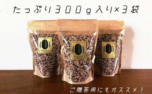 B2-29 【先行予約R7年産】自然栽培 古代米 ブレンド