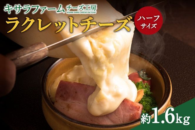 ykCzLTt@[`[YH[̃Nbg `[Yn[tTCY I_S002-0005