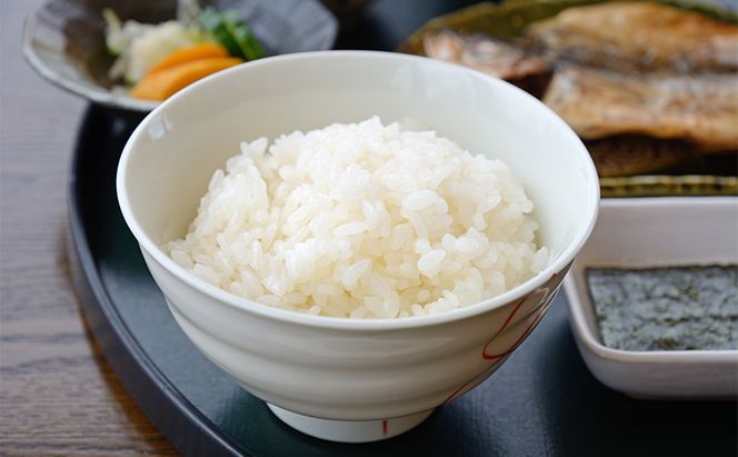 【定期便 発送月固定全4回】令和8年産　特別栽培米　宮津産丹後コシヒカリ「つやっ娘」5kg