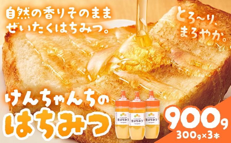 [CF]けんちゃんちのはちみつ 300g 3本セット[30日以内に出荷予定(土日祝除く)]---tsm_mkf5_30d_25_14500_900g---