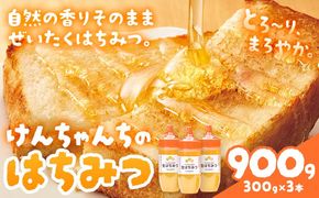 【CF】けんちゃんちのはちみつ 300g 3本セット《30日以内に出荷予定（土日祝除く）》---tsm_mkf5_30d_25_14500_900g---