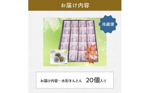 御菓子処信玄堂 「栗きんとん使用」水彩きんとん20個入 F4N-2869