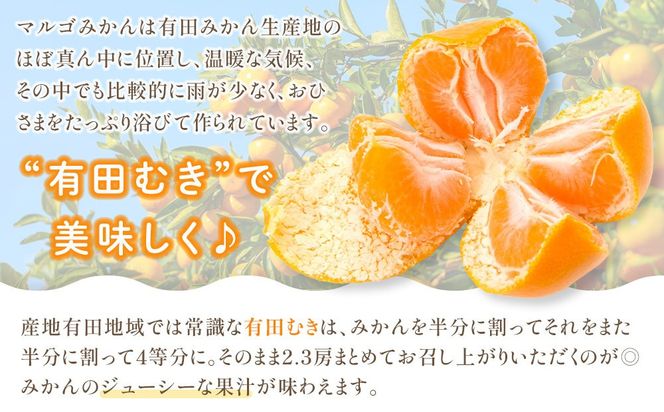 有田みかん 4kg 2Lサイズ 光センサー使用 高糖度 CM03