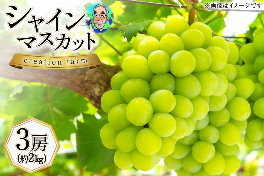 山梨県産 高級シャインマスカット 3房(約2kg)[株式会社Creation farm 山梨県 韮崎市 20743003] シャインマスカット シャイン マスカット ぶどう ブドウ 葡萄 フルーツ 果物 くだもの 山梨
