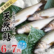 【夏季限定】清流 久慈川 天然鮎 6～7匹｜茨城県 大子町 あゆ 魚 川魚 冷凍（AA001）