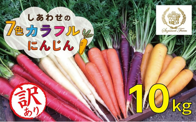 〈予約受付〉 メディア出演多数！【期間限定】（訳あり） 冬の寒さでぎゅっと濃い！虹色のカラフルにんじん 10kg 鈴盛農園 農家直送 甘い スーパーフード 健康 自慢 ジュース サラダ ギフト 贈り物 βカロテン ポリフェノール リコピン ジューシー 規格外 自慢 おためし H022-018