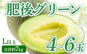 【先行予約】 熊本県八代市産 肥後グリーンメロン L以上  4～6玉 約7kg 果物 くだもの フルーツ 肥後グリーン メロン 青肉メロン 【2026年5月上旬より順次発送】