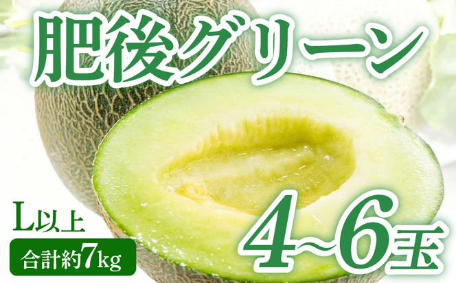 【先行予約】 熊本県八代市産 肥後グリーンメロン L以上  4～6玉 約7kg 果物 くだもの フルーツ 肥後グリーン メロン 青肉メロン 【2026年5月上旬より順次発送】