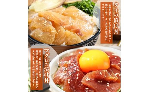 訳あり 海鮮漬け丼（5種×各2P）計10P セット 漬け丼 漬け魚 海鮮丼  マグロ 鯛 イカ ブリ 鰹のたたき 海鮮  国産 漬け 漬け丼の素 海鮮丼の具 海鮮セット まぐろ いか ぶり 鯛 かつおのたたき 鰹タタキ 訳アリ 不揃い 規格外 わけあり 【企業組合　宇佐もん工房】 [BQAB002]