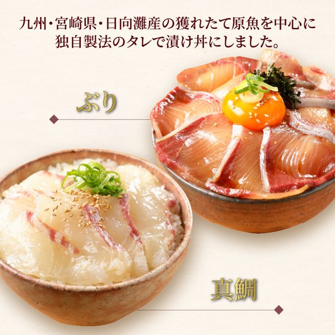 【冷凍】日向灘ぶりと真鯛の漬け丼2種食べ比べセット110g×8袋 N019-YA948