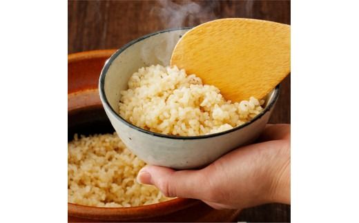 【3ヶ月定期便】【令和7年産】黒木農園のお米「いのちの壱(玄米)」10kg 【 米 お米 玄米 国産 宮崎県産 いのちのいち おにぎり 】 [D03226t3]