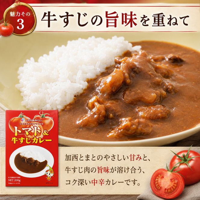 「加西産とまと」を使ったトマト & 牛すじカレー レトルトカレー 5箱 カレー 中辛 野菜/とまと やさい セット