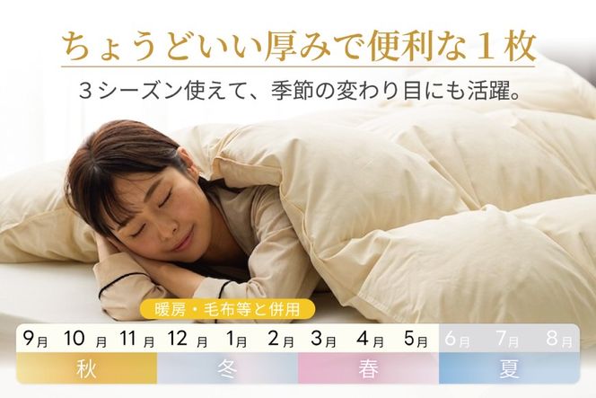 【春秋用】 洗える 羽毛布団 合掛け クイーン ホワイトダックダウン85% 1.4kg 無地 アイボリー 中厚 春用 秋用 [川村羽毛 山梨県 韮崎市 20745420] 合い掛け 軽い羽毛 布団 コインランドリー 掛け布団 ダウンかけ布団 ふとん 羽毛ふとん 合掛け布団 エクセルゴールドラベル