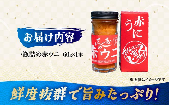 【数量限定】瓶詰め赤ウニ（60g・単品） 冷蔵 ※北海道・沖縄・離島への配送不可 IKTJ018