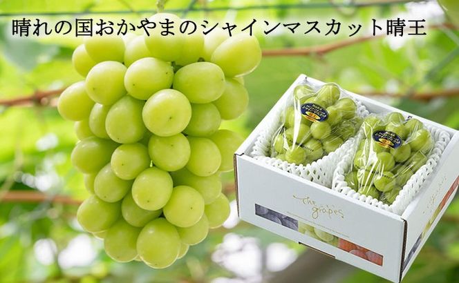 ぶどう 2026年 先行予約 ご家庭用 シャイン マスカット 晴王 約400g×2房 ブドウ 葡萄 岡山県産 国産 フルーツ 果物