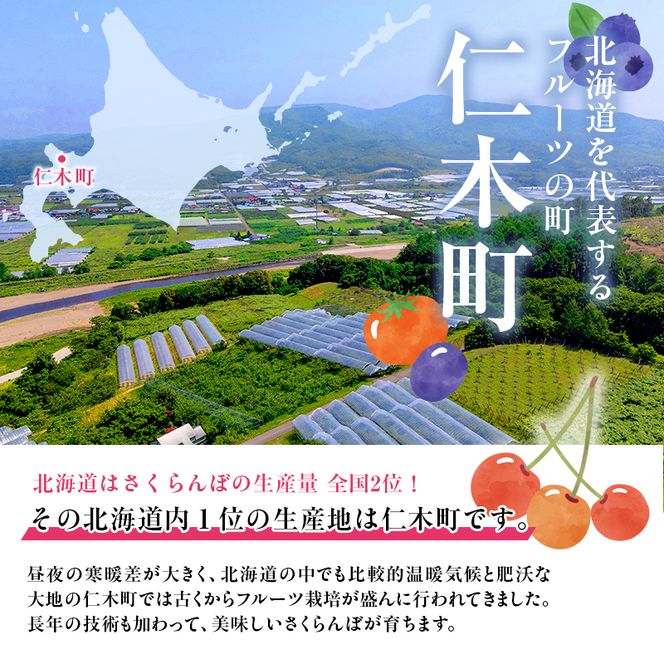  [先行受付] さくらんぼ 南陽 2Lサイズ 以上 300g（300g×1パック） 化粧箱入   サクランボ チェリー フルーツ 果物 果物類 ギフト 贈答品 北海道 仁木町 仁木 [小林信幸]