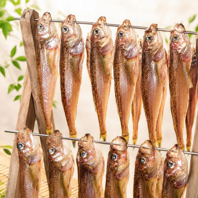 ハタハタ（大）干物 一夜干し 450g ×2箱【配送不可：離島】 魚貝類 海鮮 干物 おつまみ 肴 ハタハタ 酒  myz02 myz09 myz11 myz17 myz23